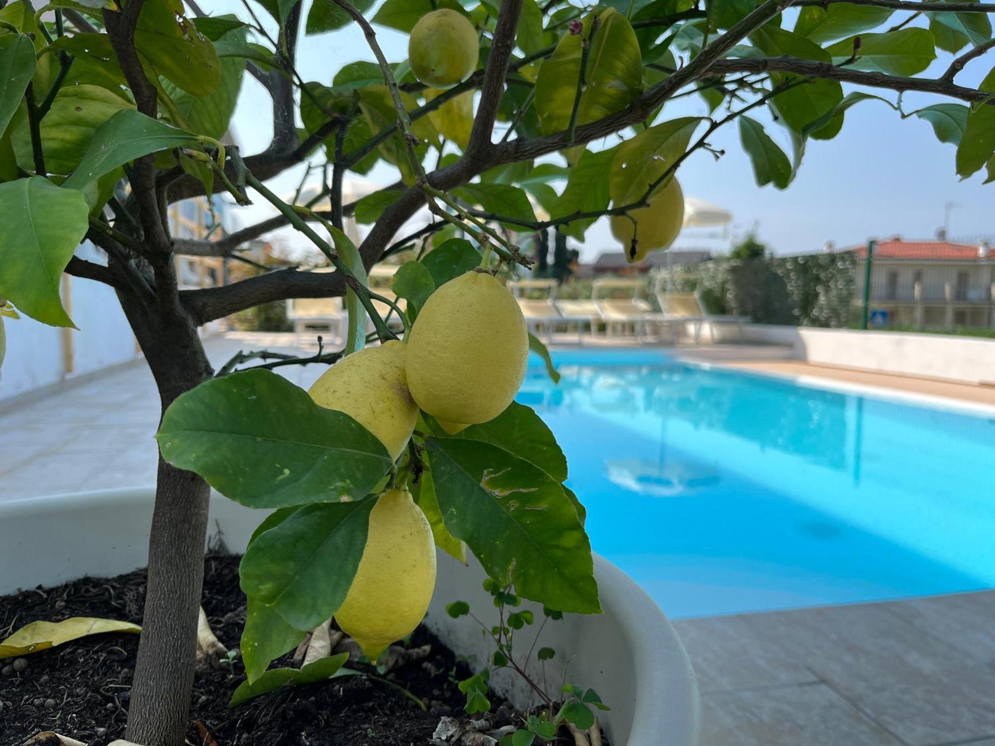 Hotel Renata Lazise Exteriör bild